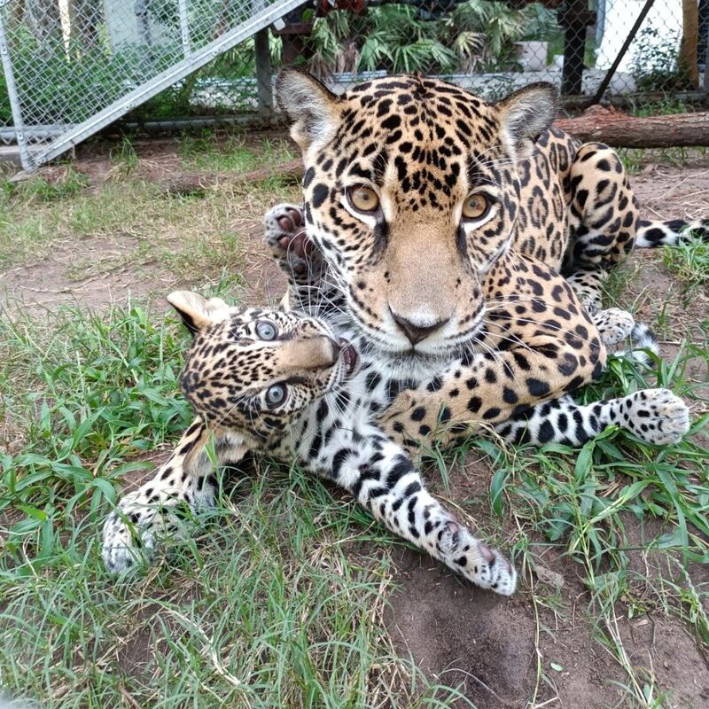What else do we need to say? An amazing photo of mom and son.