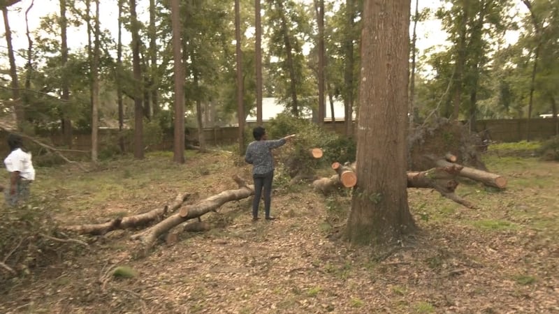 Family members in Glynn County are facing several challenges after winds from Helene toppled more than a dozen large trees on their property.