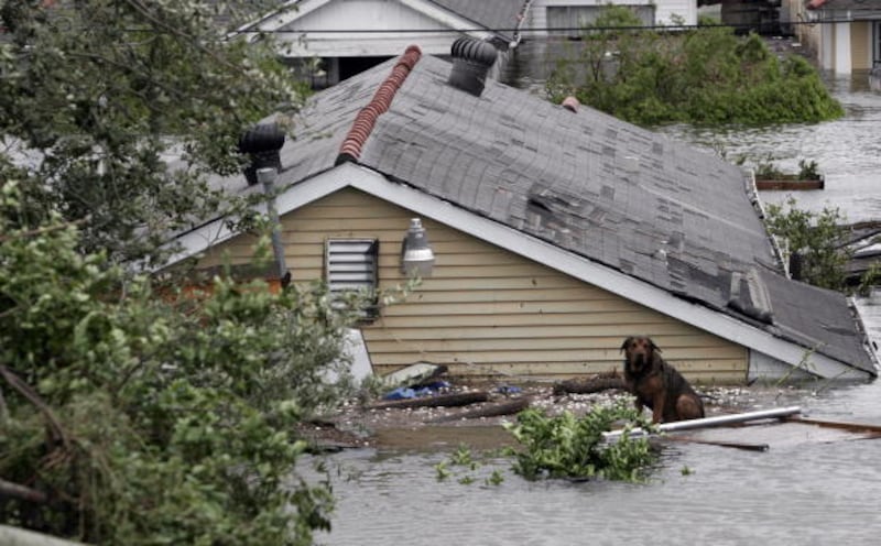Hurricane Katrina