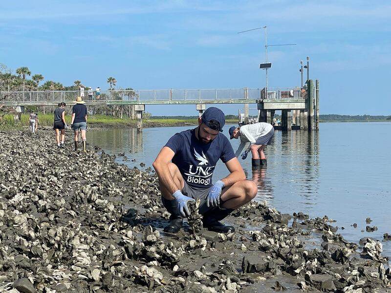 POSH shoreline restoration project assists in restoring oyster reefs, fighting erosion, rebuilding fish populations, saving the marshes and reducing loss of historic coastal communities and artifacts.