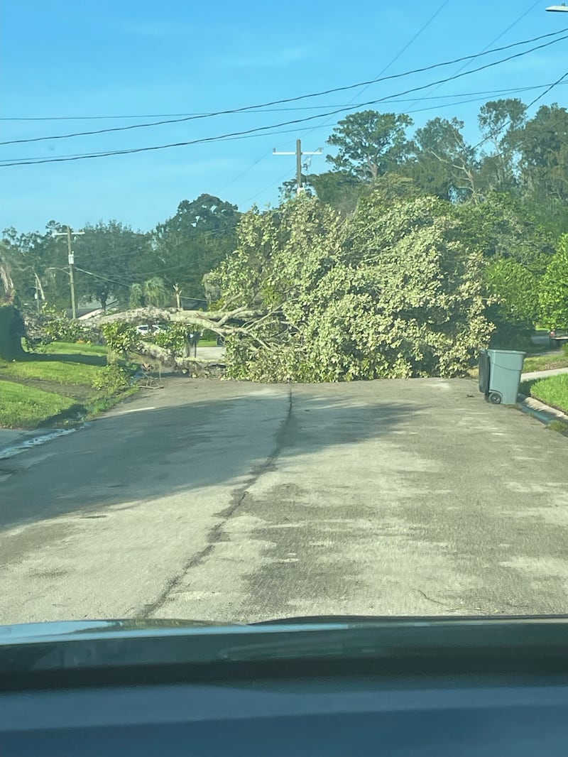 Damage Friday morning from Hurricane Helene in the San Jose Forest and San Jose West area in Jacksonville.