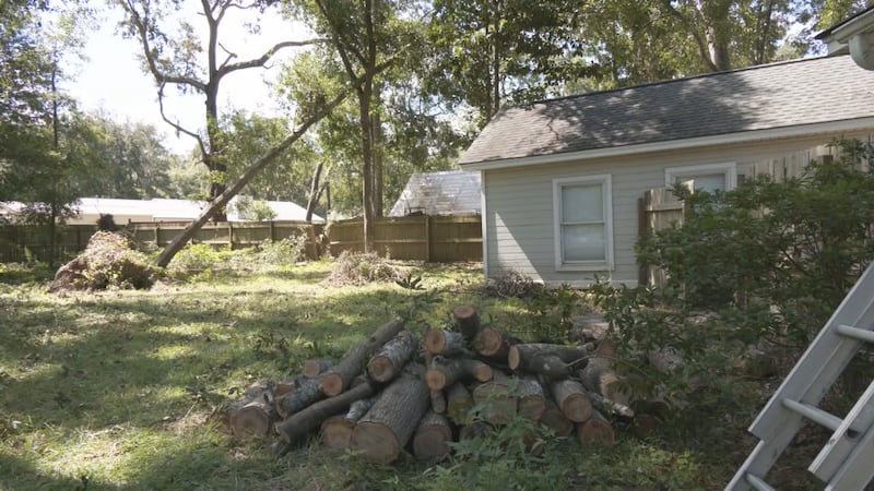 Family members in Glynn County are facing several challenges after winds from Helene toppled more than a dozen large trees on their property.