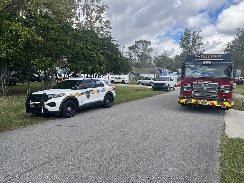 More than 30 animals were seized from a Middleburg home on Wednesday after the owner brought “multiple deceased dogs” to be cremated in Jacksonville, Clay County officials said.