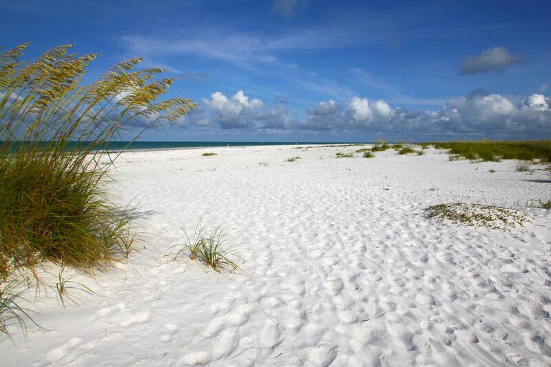 One of the many views to see from beachside at Anna Maria Island.