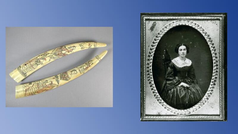 Scrimshawed tusks, an old photo