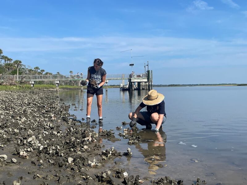 UNF engineering and biology graduate students participated in these projects.