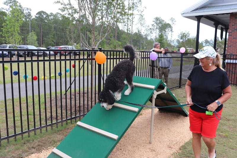 Just remember that agility equipment is for dog use only.