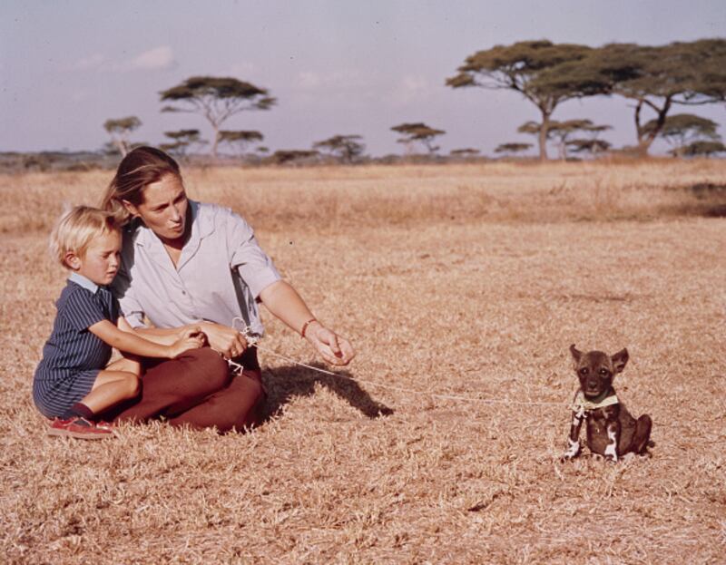 Dr. Jane Goodall
