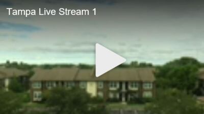 Tampa Stream