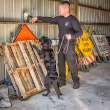 <p>Washington State Patrol K-9 training</p>