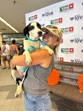 More Than 2,000 Pets Adopted During Mega Pet Adoption Event in Florida