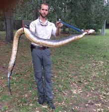 An animal removal company is warning people to look out for snakes after workers caught a 5 1/2 foot water moccasin in St. Johns County on Tuesday.