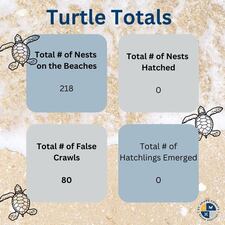St. Johns County has released the total number of sea turtle nests and "false crawls" on local beaches.