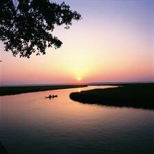 Here are some more photos from Amelia Island.