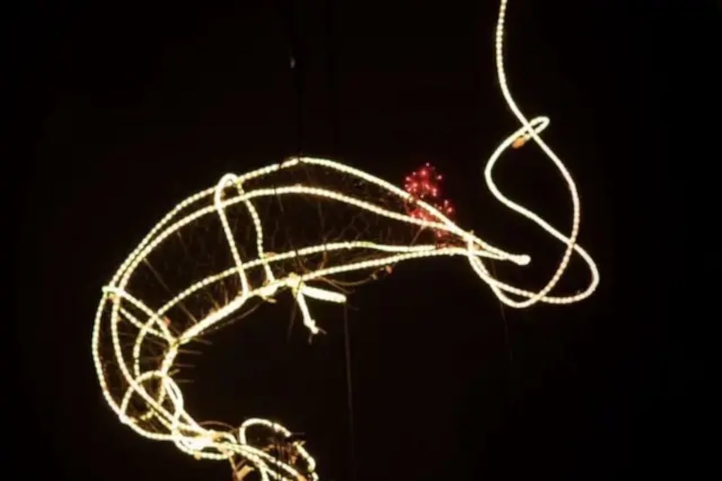 Amelia Island Shrimp Drop