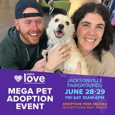 The MEGA event in Jacksonville if from Fri., June 28 and Sat., June 29 from 10 a.m. until 6 p.m.