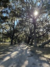 Trails, campgrounds reopen after Hurricane Helene