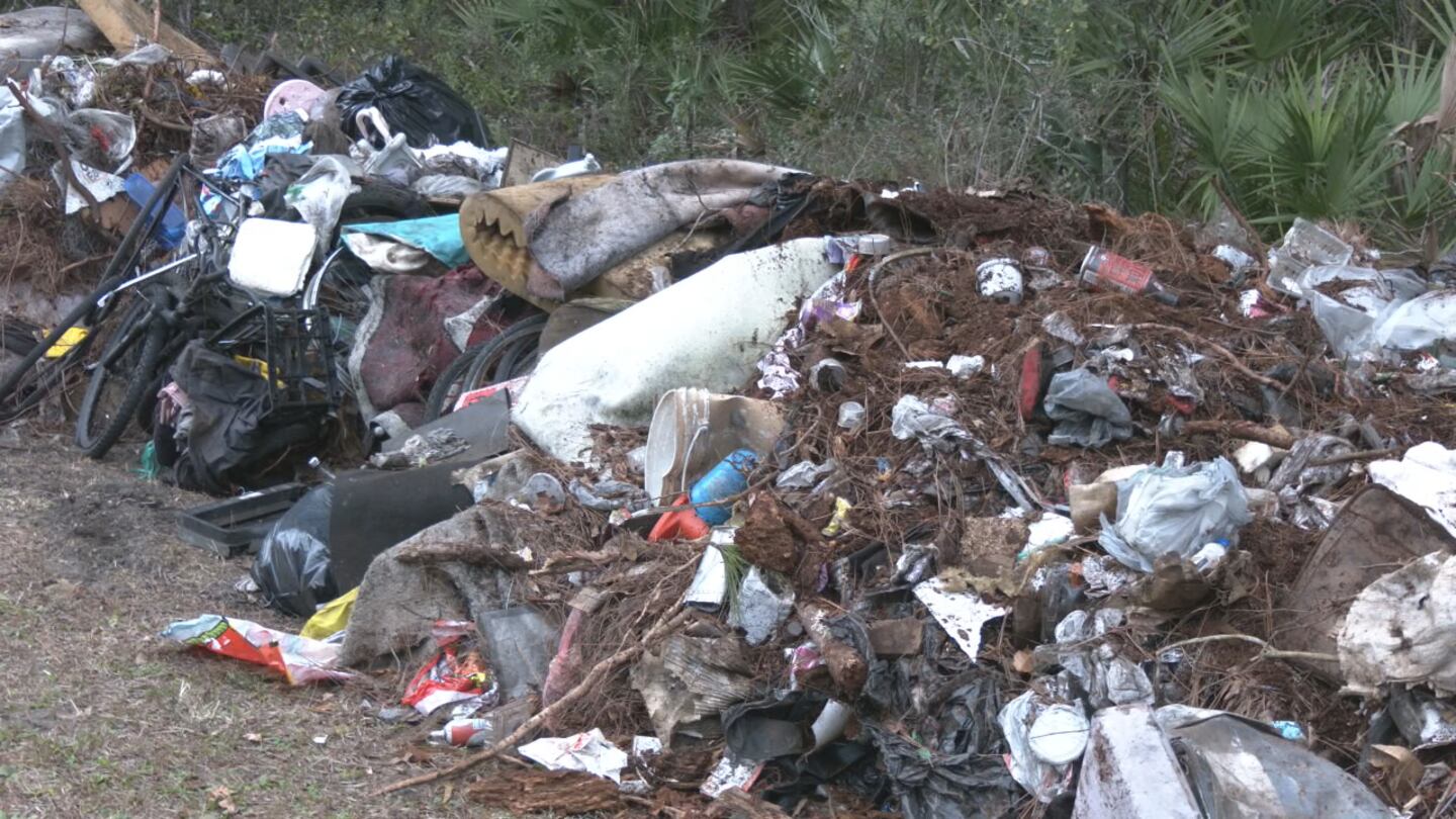 Cleanup service collected over 200 bags of garbage near St. Johns Town Center.