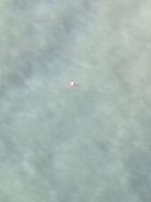 United Cajun Navy spots possible life raft in search for missing fishermen.